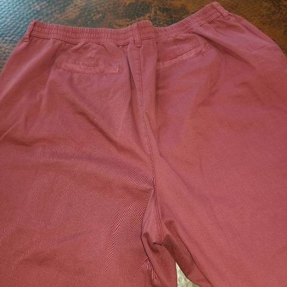 Coldwater Creek fig colored pants size 20W. - Picture 3 of 4